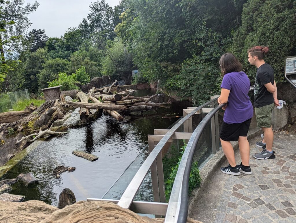 2024 - Innsbruck 2024 1Q 17