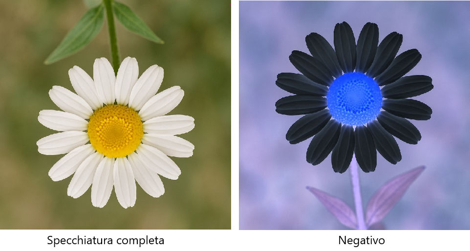 2025 - immagini in python 4