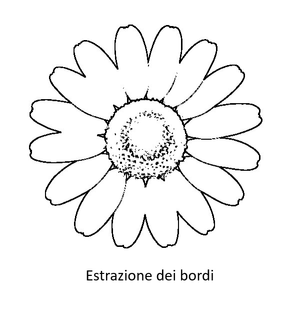 2025 - immagini in python 6